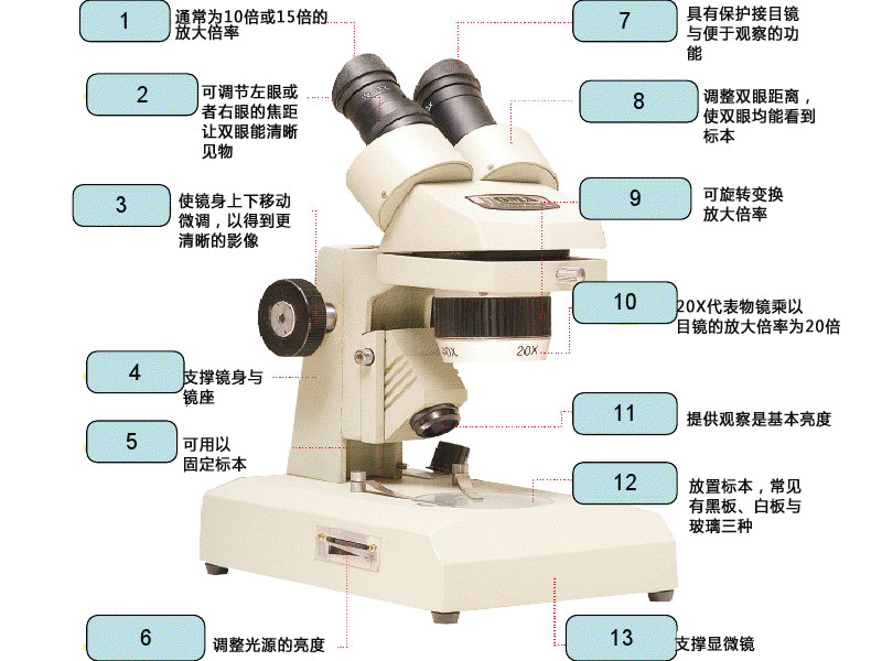 �wҕ�@΢�R�Y(ji��)��(g��u)�D