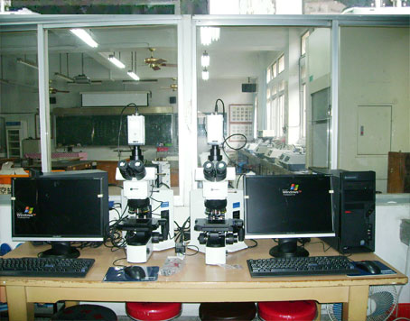 ��������҃x��