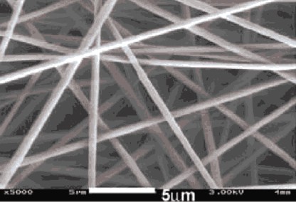 �{�׼�����Ƭ