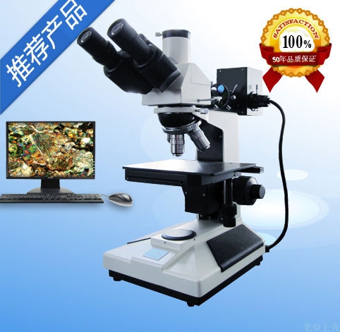 ���ý����@΢�R