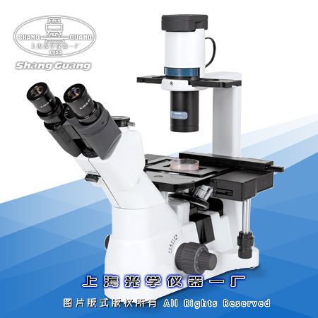 ���������@΢�R 37XF