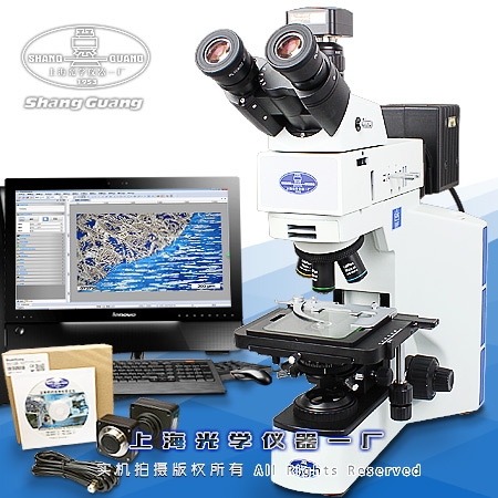 ���н����@΢�R 9XF (͸����)